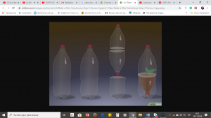 como hacer un mini invernadero casero con botellas de plastico